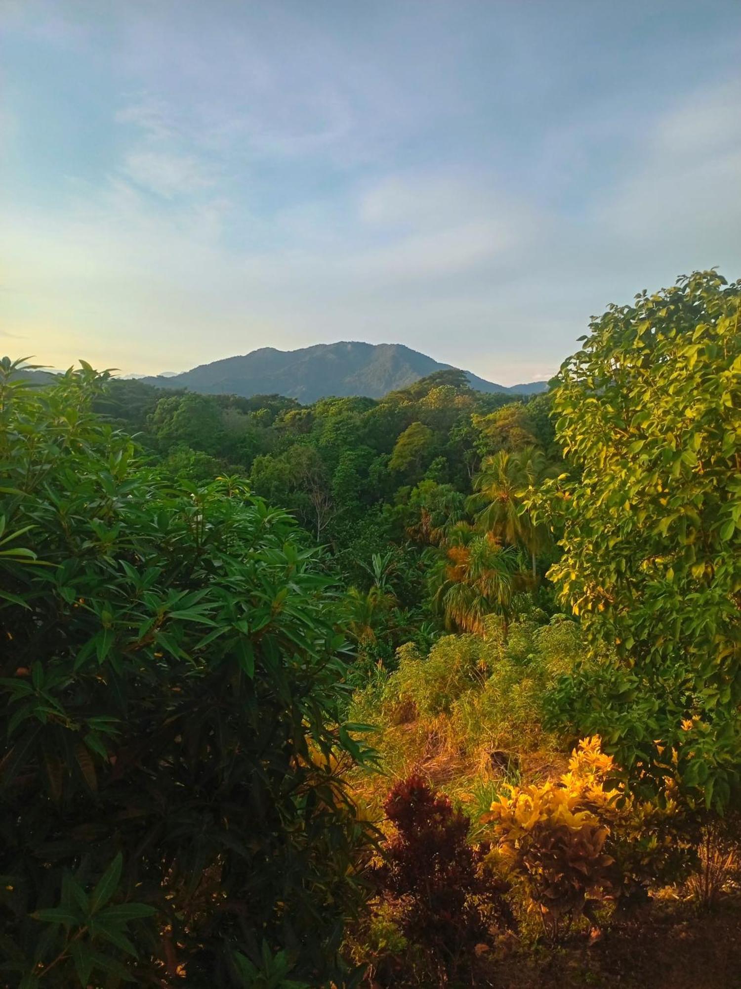 Casa Tolosa Tayrona, Los Cocos La Poza エクステリア 写真