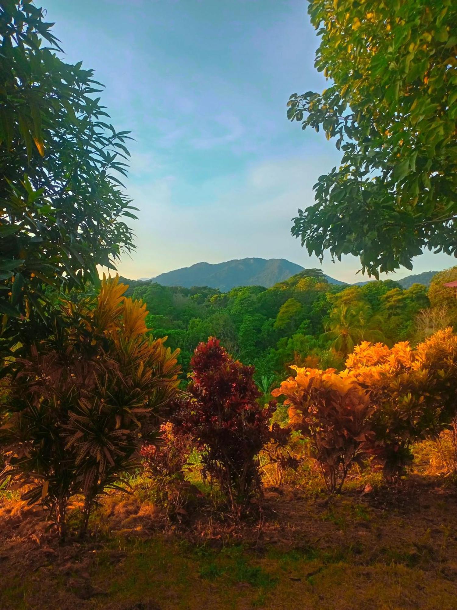 Casa Tolosa Tayrona, Los Cocos La Poza エクステリア 写真